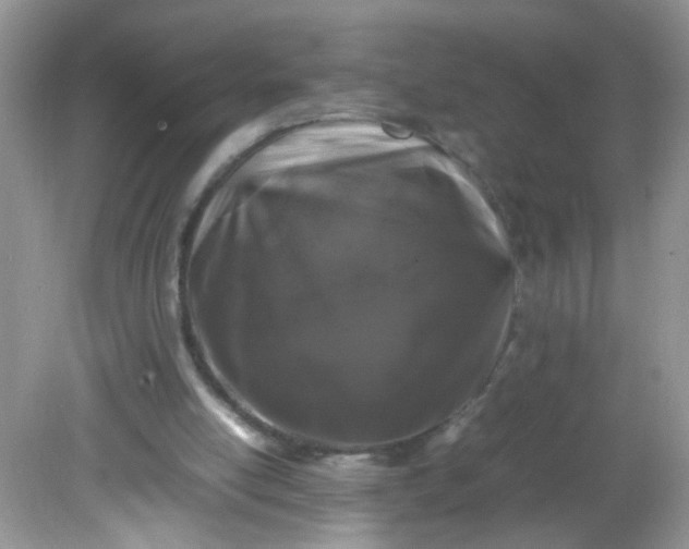 X0000081610054200701291437