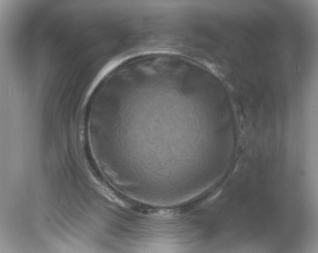 X0000081610056200701291438