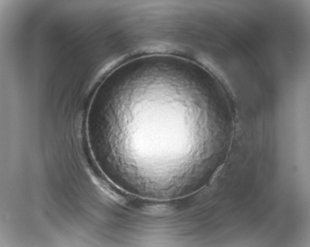 X0000081610058200701291438