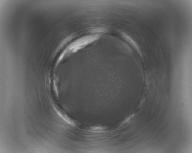 X0000081610059200701291438