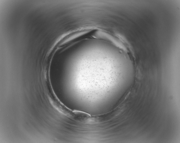 X0000081610060200701291438