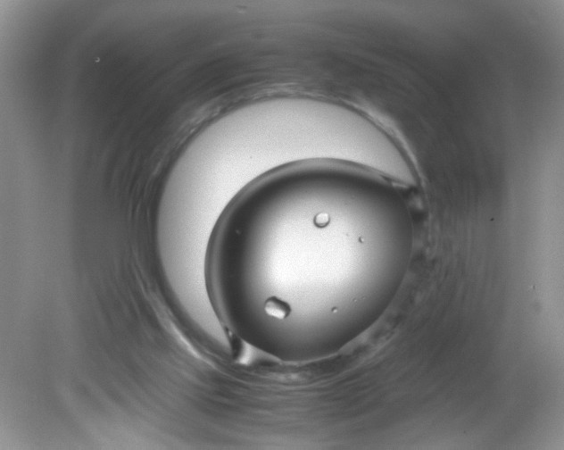 X0000081610061200701291438