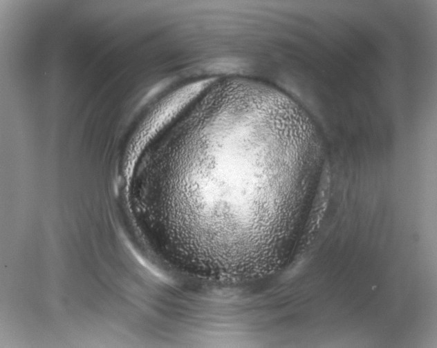 X0000081610062200701291438