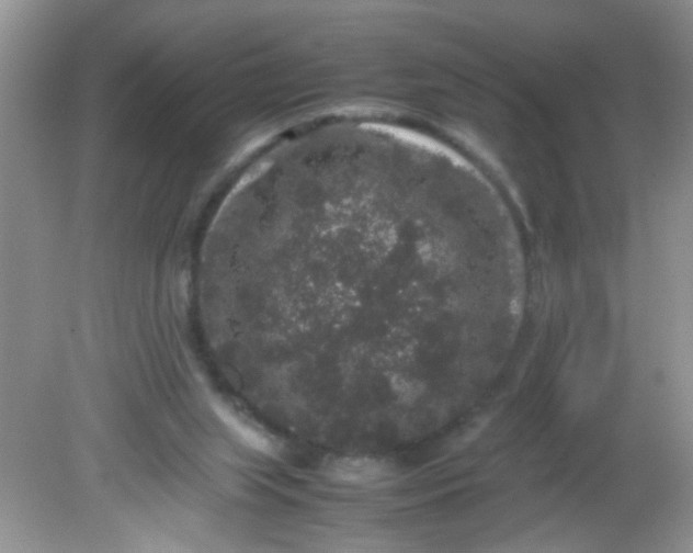 X0000081610063200701291438