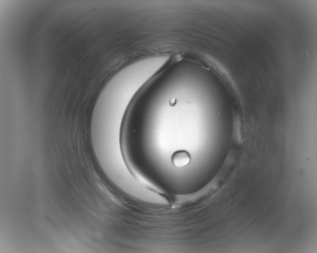 X0000081610065200701291438