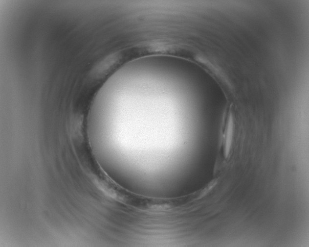 X0000081610066200701291438