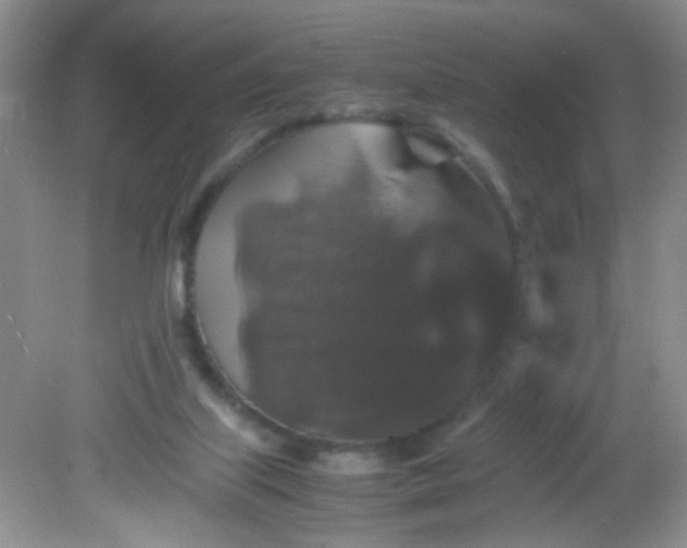 X0000081610067200701291438