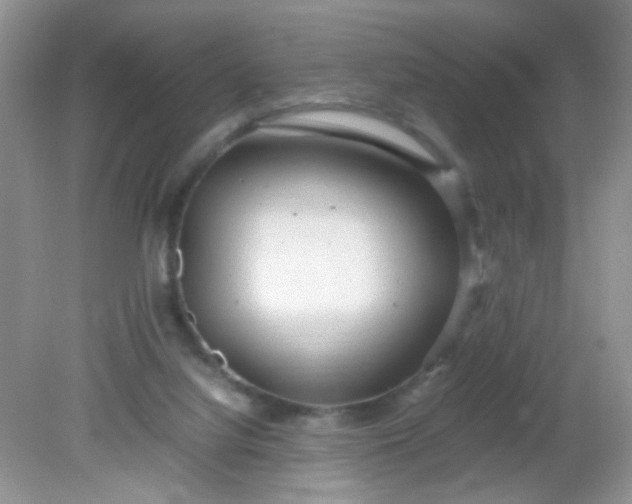 X0000081610068200701291438