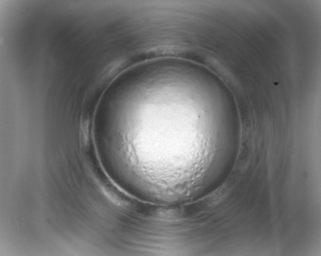 X0000081610070200701291438