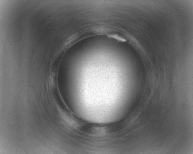 X0000081610071200701291438