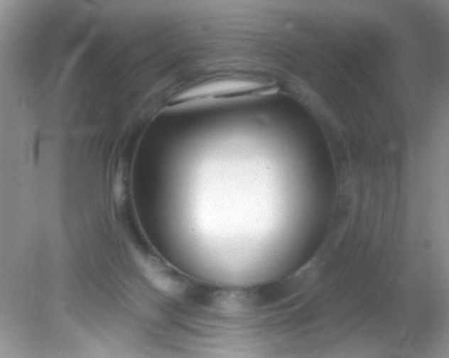 X0000081610074200701291438