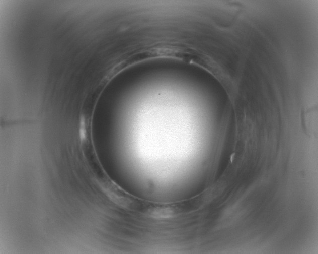 X0000081610075200701291438