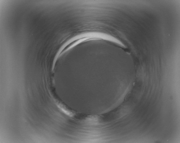 X0000081610076200701291438