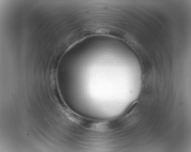 X0000081610078200701291438