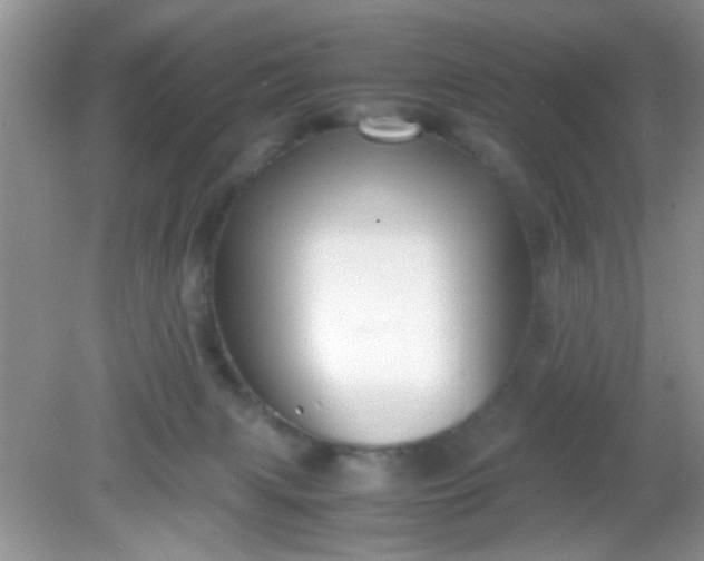 X0000081610079200701291438