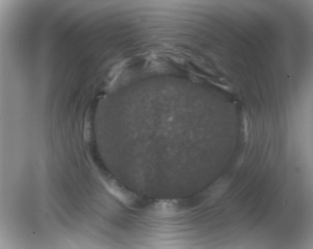 X0000081610080200701291438