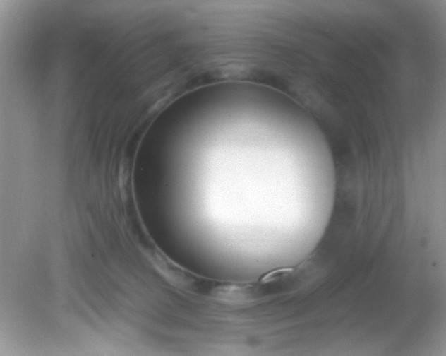 X0000081610082200701291438