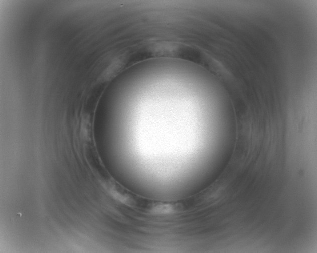 X0000081610083200701291438