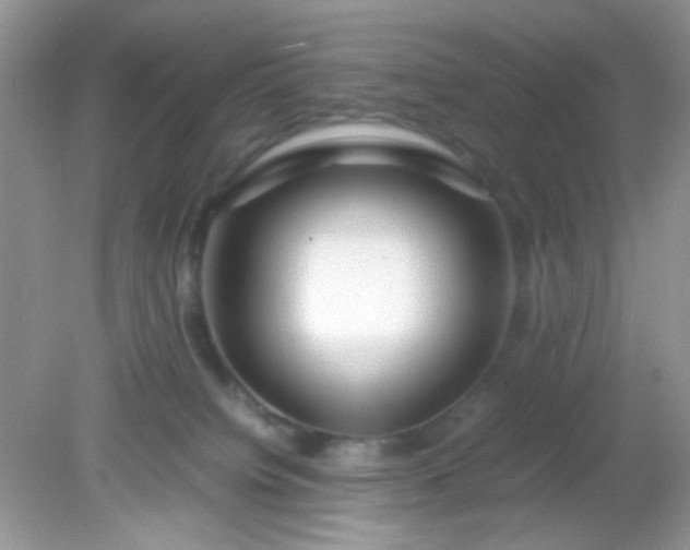 X0000081610084200701291438