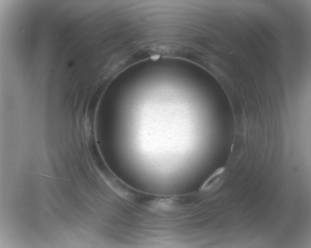 X0000081610086200701291438