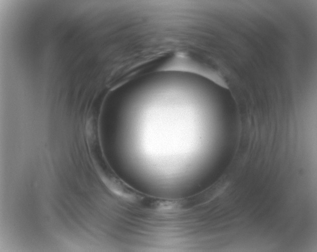 X0000081610088200701291438