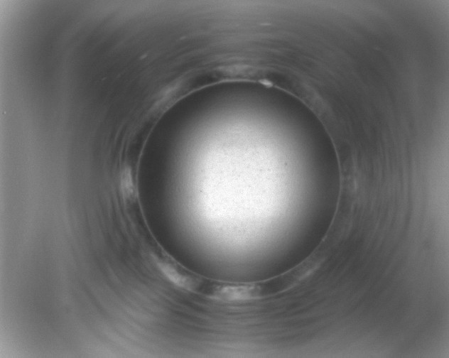 X0000081610089200701291438