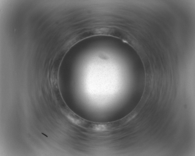 X0000081610091200701291438