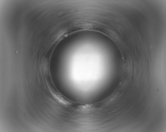 X0000081610092200701291438