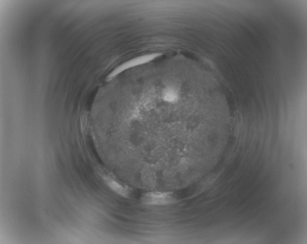 X0000081610093200701291438