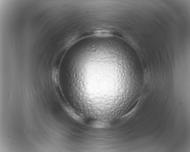 X0000081610094200701291438