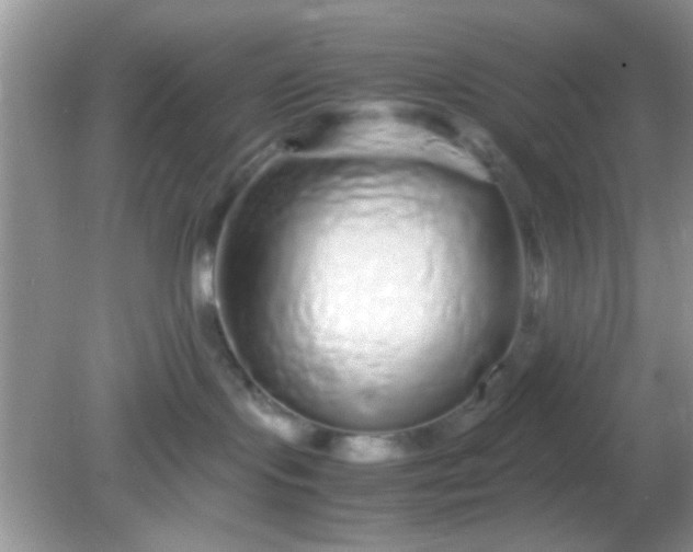 X0000081610095200701291438