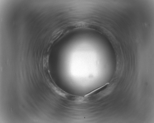 X0000081610096200701291438