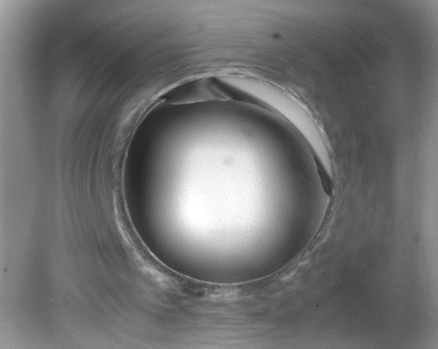 X0000081610097200701291437