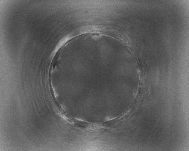 X0000081610099200701291437