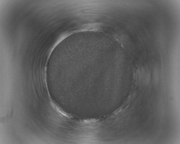 X0000081610100200701291437