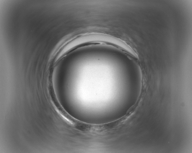 X0000081610101200701291437