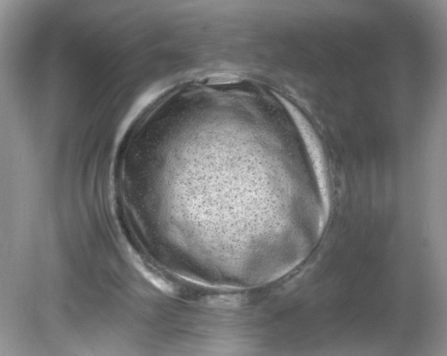 X0000081610102200701291437