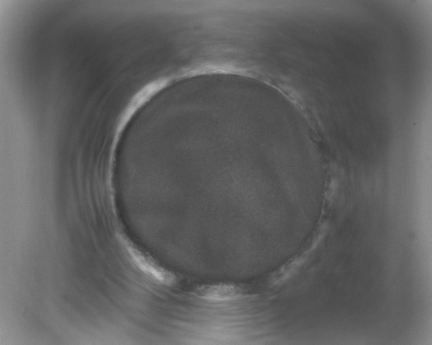 X0000081610104200701291437