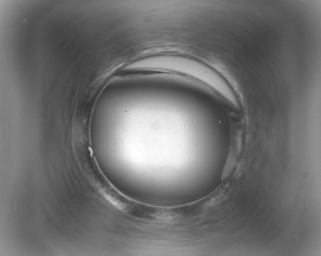 X0000081610105200701291437