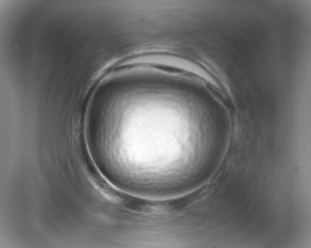 X0000081610107200701291437