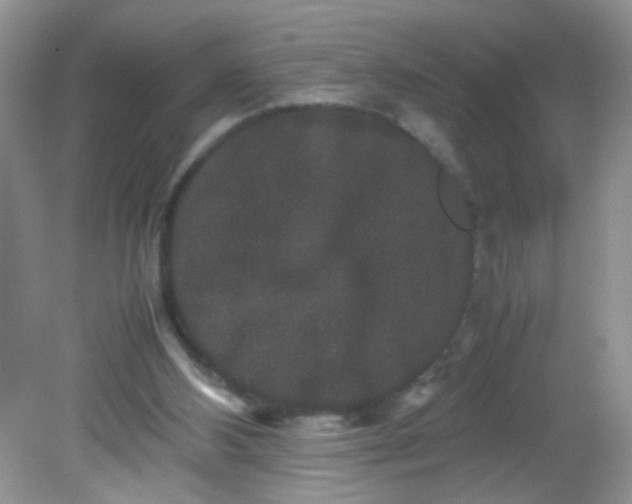 X0000081610108200701291437