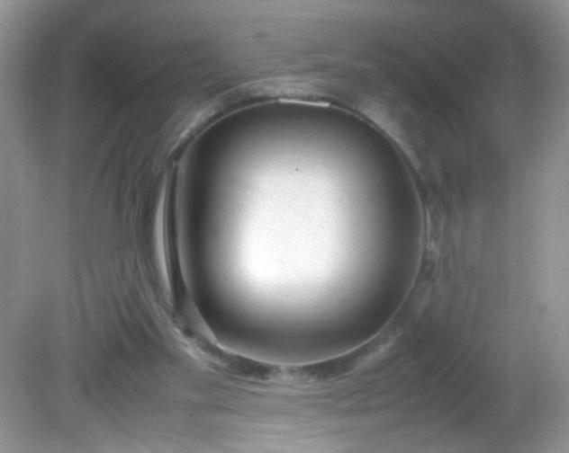 X0000081610109200701291437