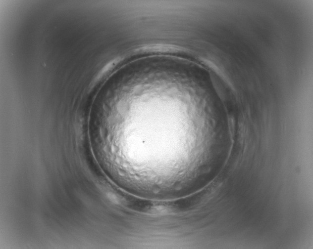 X0000081610111200701291437