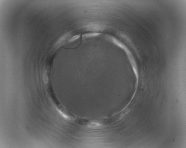 X0000081610114200701291437