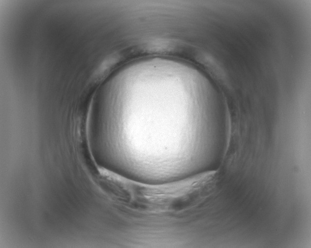 X0000081610115200701291437