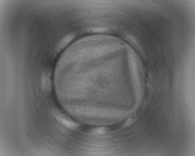 X0000081610116200701291437