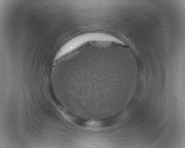 X0000081610117200701291437