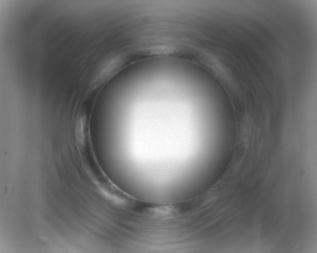 X0000081610118200701291437