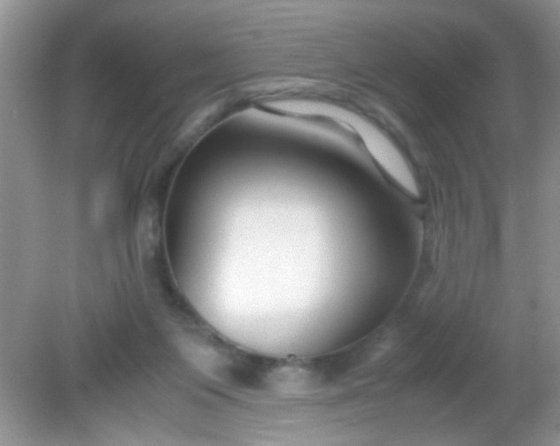 X0000081610119200701291437