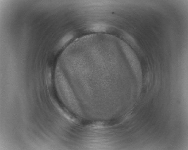 X0000081610120200701291437